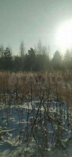 Участок 12 сот. (ИЖС)
