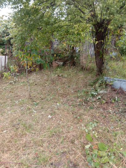 Участок 5,1 сот. (СНТ, ДНП)