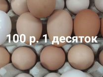 Частные куринные яйца из деревни