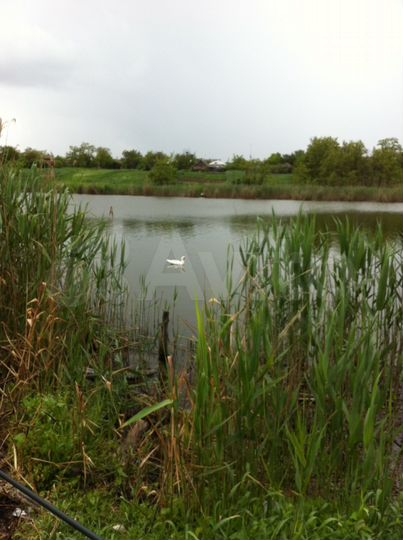 Участок 22 сот. (ИЖС)