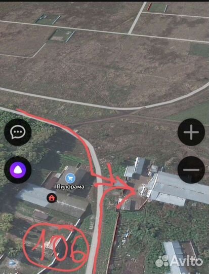 Корма для животных