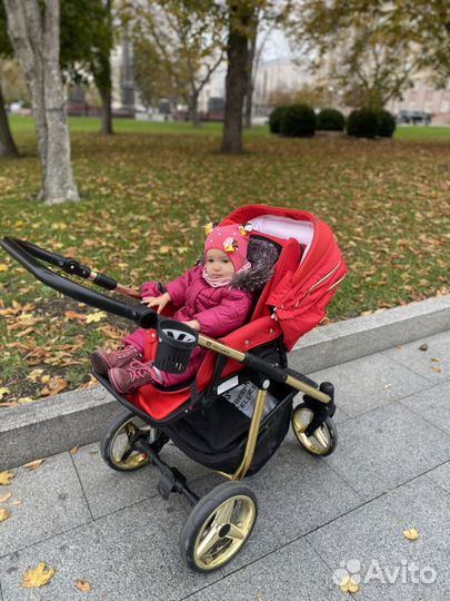 Коляска 2 в 1 adamex
