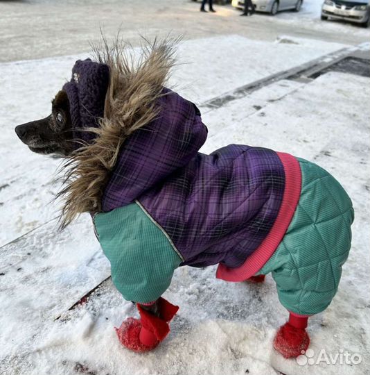 Одежда для маленьких собак