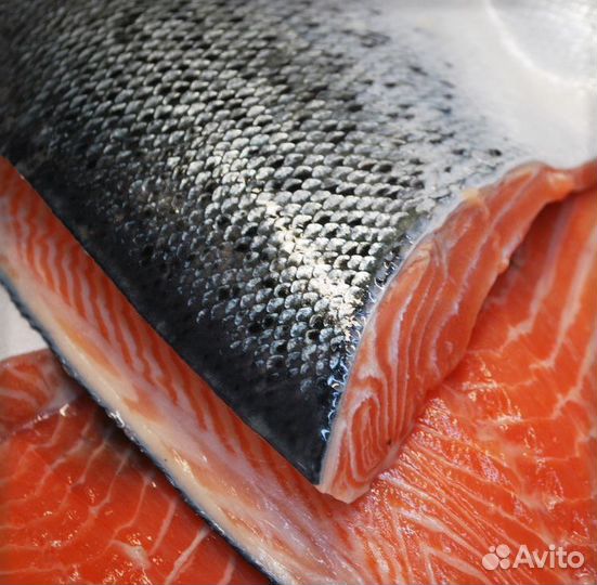 Морская семга