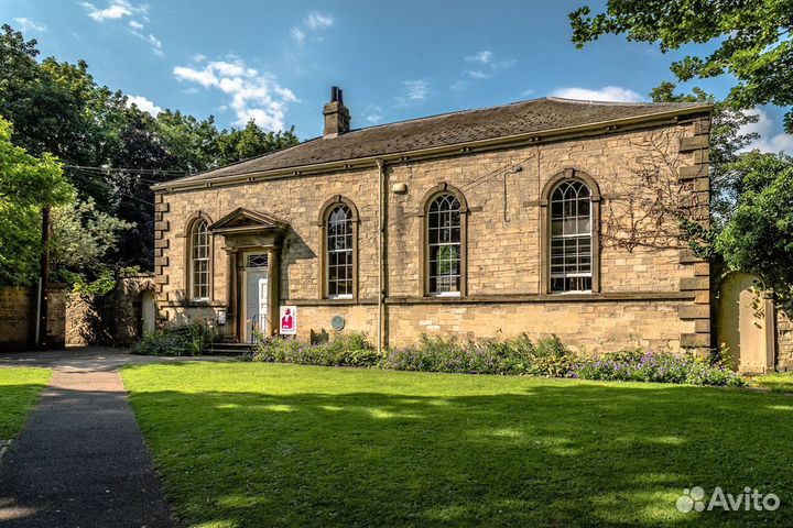 Натуральный рулонный газон