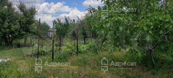 Участок 5,9 сот. (СНТ, ДНП)