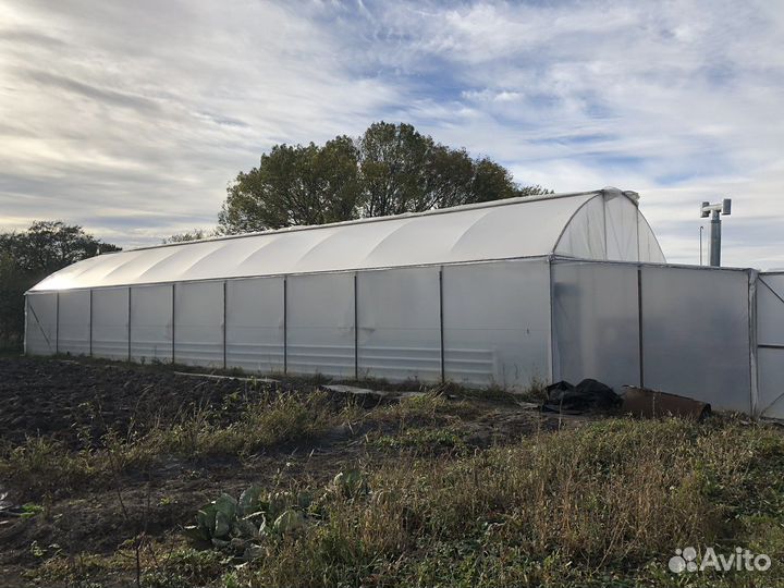 Теплица 160 м2