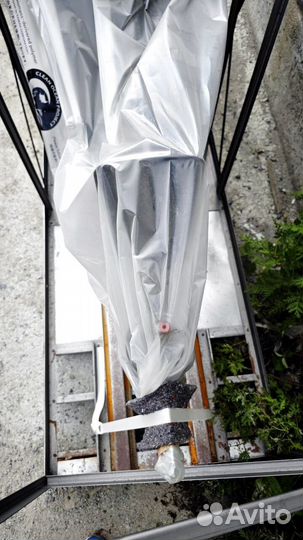 Мотор лодочный Suzuki DF300Apxx во Владивостоке