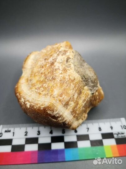 Симбирцит (кальцит), Ульяновск