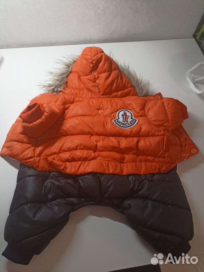 Комбинезон для маленькой собаки