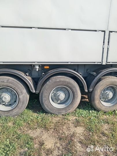 Полуприцеп контейнеровоз МАЗ 991900-010, 2001