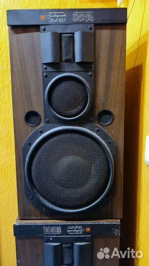 Акустическая система. электроника 25AC033