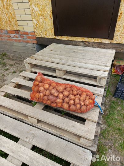 Картофель деревенский