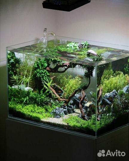 Аквариум