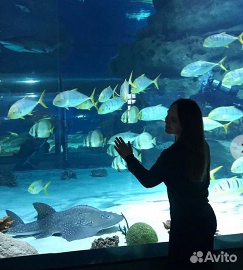 Москвариум