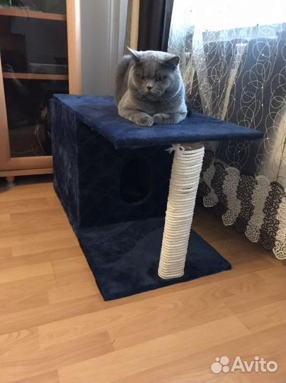 Когтеточка с домиком бу