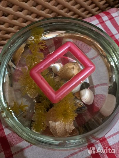 Маленький аквариум 3 литра