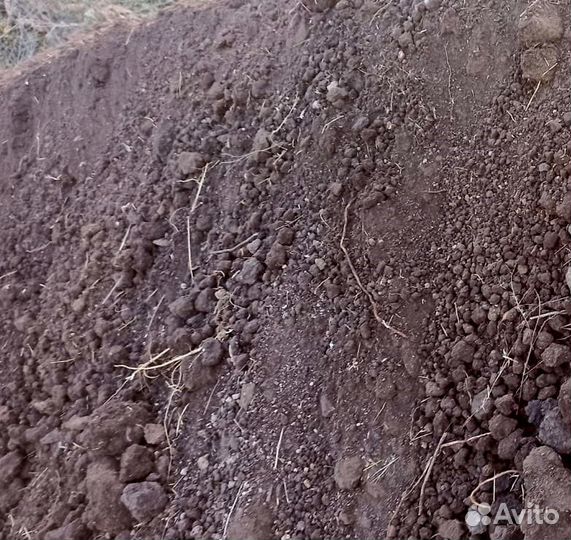 Чернозем с доставкой. Свежий привоз