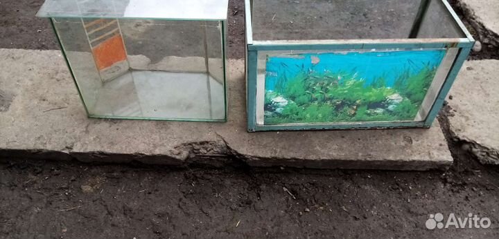 Аквариум