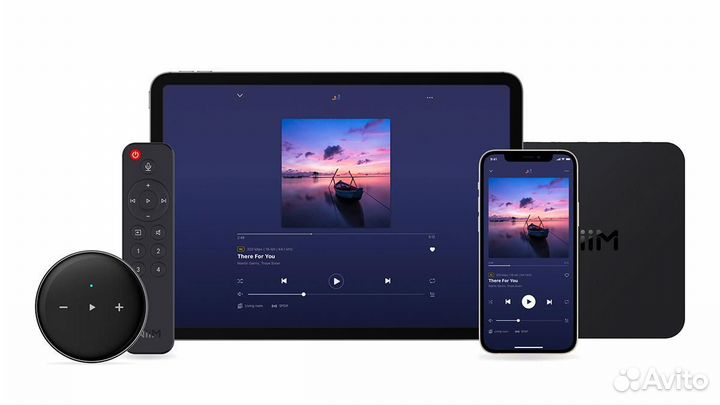 Cетевой аудиоплеер WiiM Pro Plus