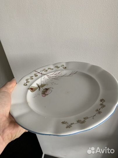 Тарелка Кузнецов