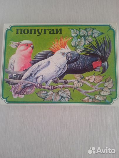 Коллекционный набор спичек СССР