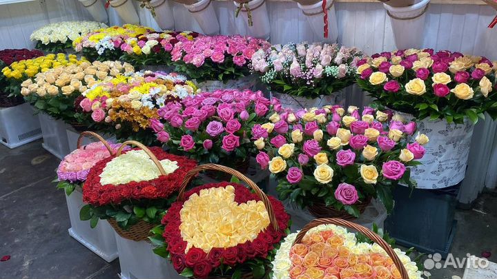 Доставка цветов / Цветы розы