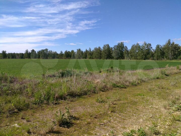 Участок 9,1 сот. (СНТ, ДНП)