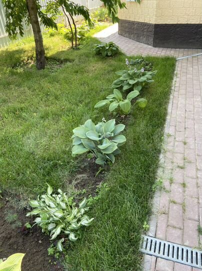 Коттедж 278 м² на участке 8 сот.