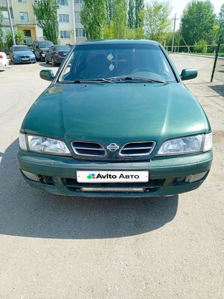 Nissan Primera: фото владельца