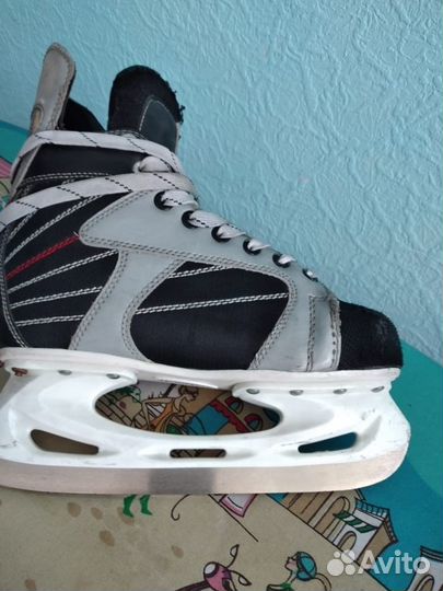 Коньки хоккейные nordway р.38