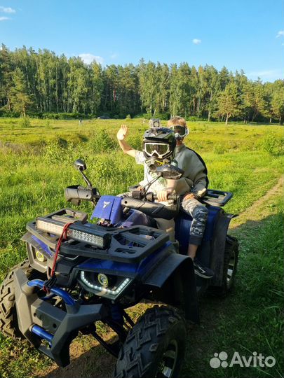 Avantis hunter 200 new premium