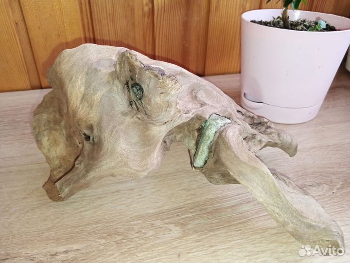 Большая коряга