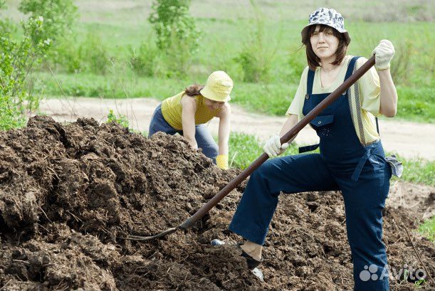 Перегной в мешках с доставкой