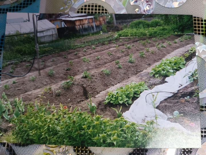 Участок 6 сот. (СНТ, ДНП)