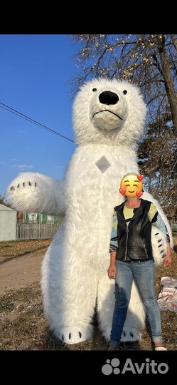 Белый медведь