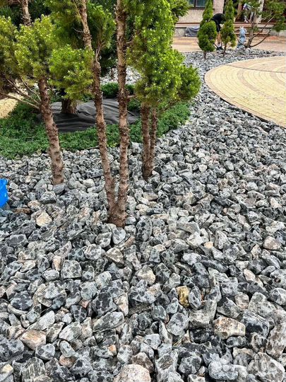 Купить камни для дорожек