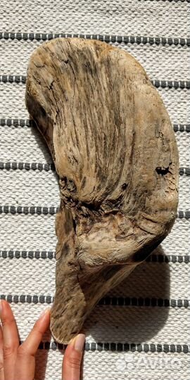 Дрифтвуд коряга 32*16 см