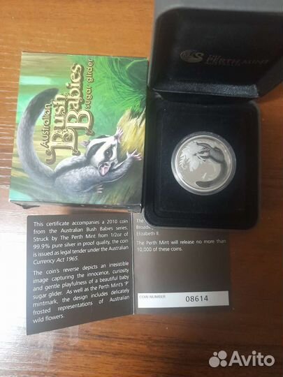 Австралийская сахарная летяга