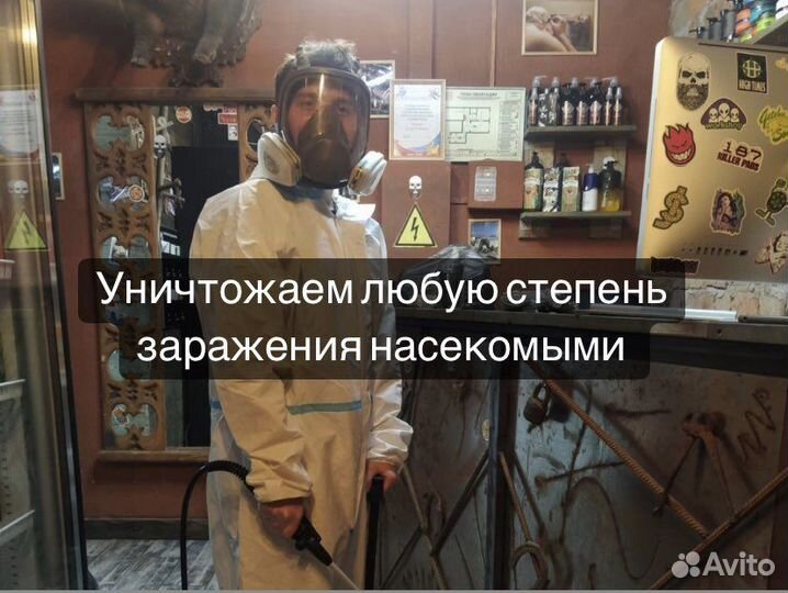 Уничтожение клопов, травить тараканов