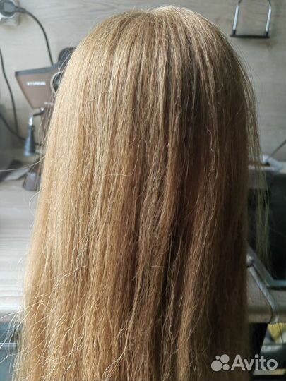 Голова учебная