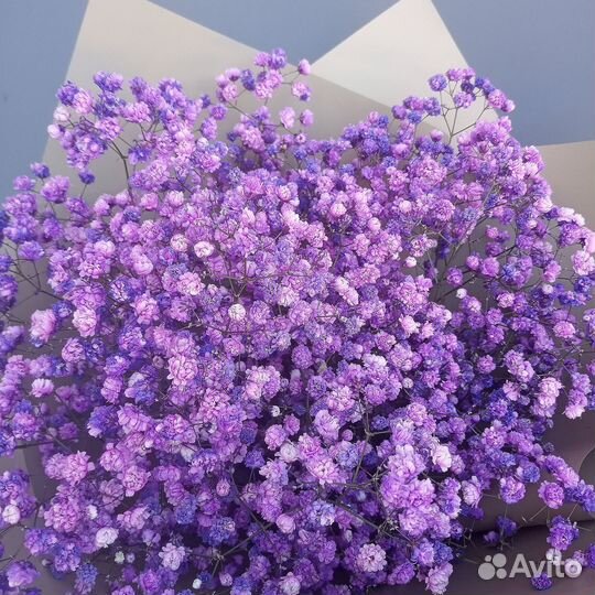 Живые цветы букеты