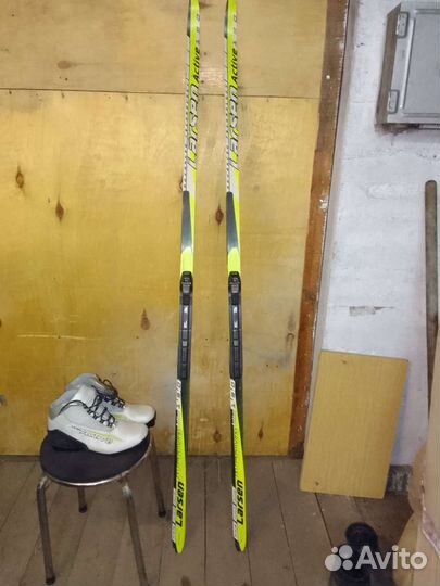 Беговые лыжи