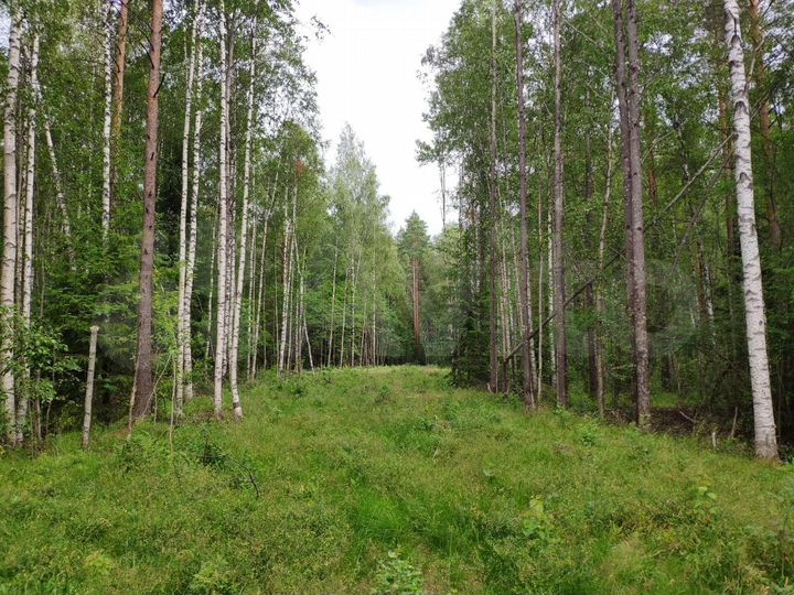 Участок 2,4 га (СНТ, ДНП)