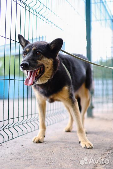 Ричард, почему его никто не замечает, он умничка