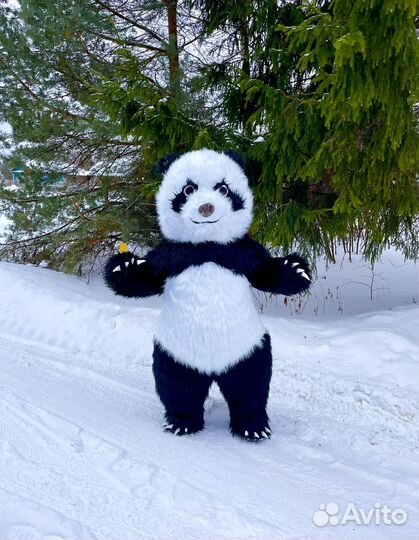 Поздравление Мишка Панда