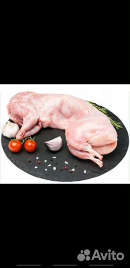 Мясо кролика