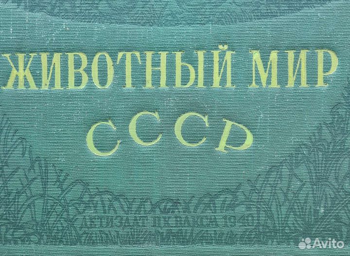 Раритетная книга 1940г. Животный мир СССР