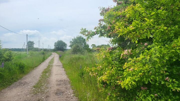 Участок 8 сот. (ИЖС)