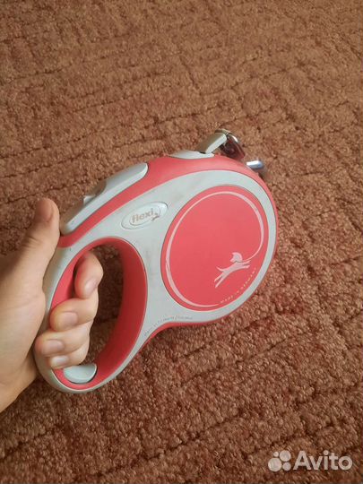 Вещи для собак